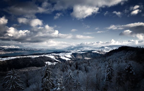 Albishorn, Zurich