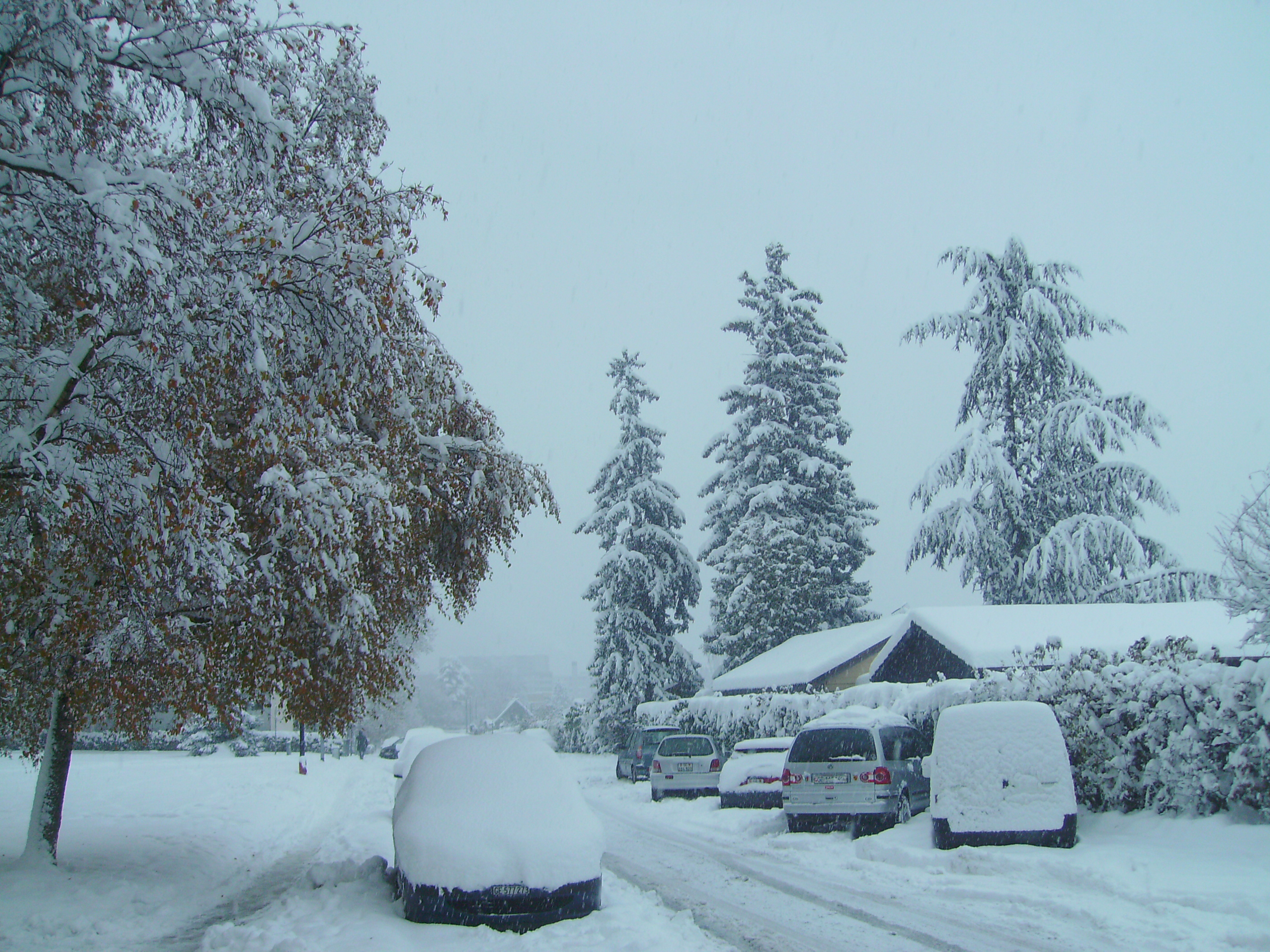 Vernier photo 3