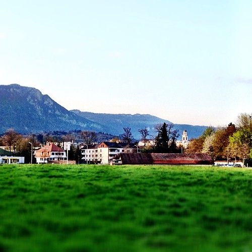 Solothurn photo 4