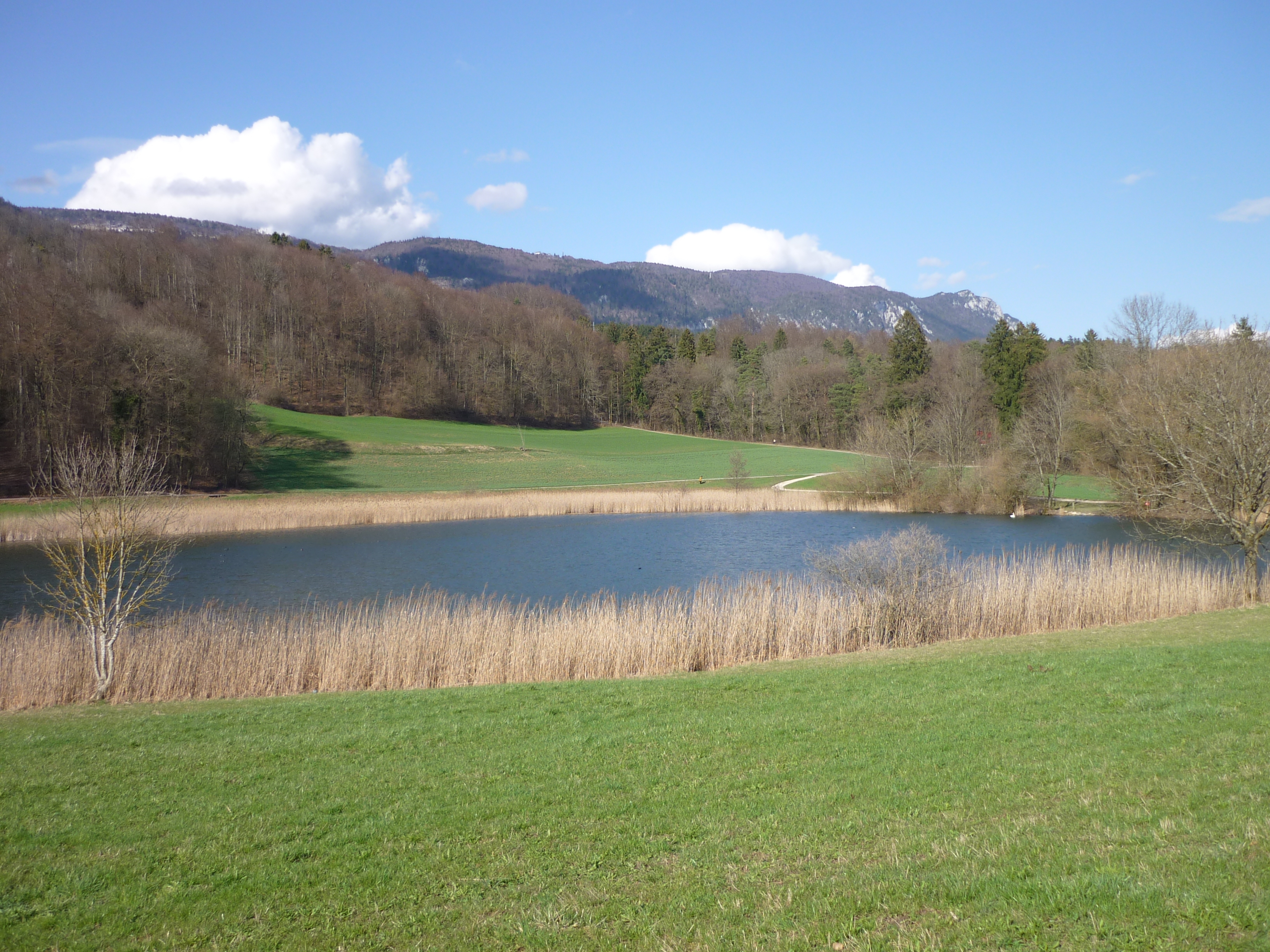 Weissenstein photo 4
