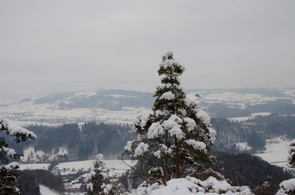 Uetliberg photo 4