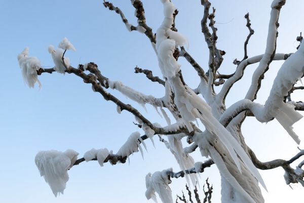 Versoix photo 3