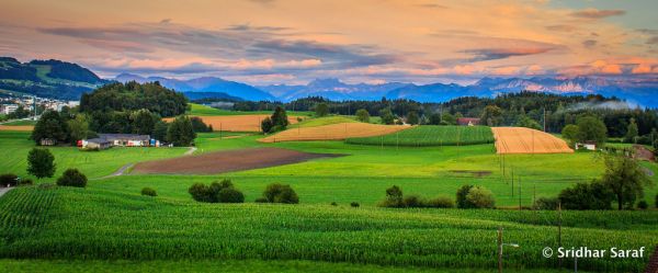 Wetzikon photo 2