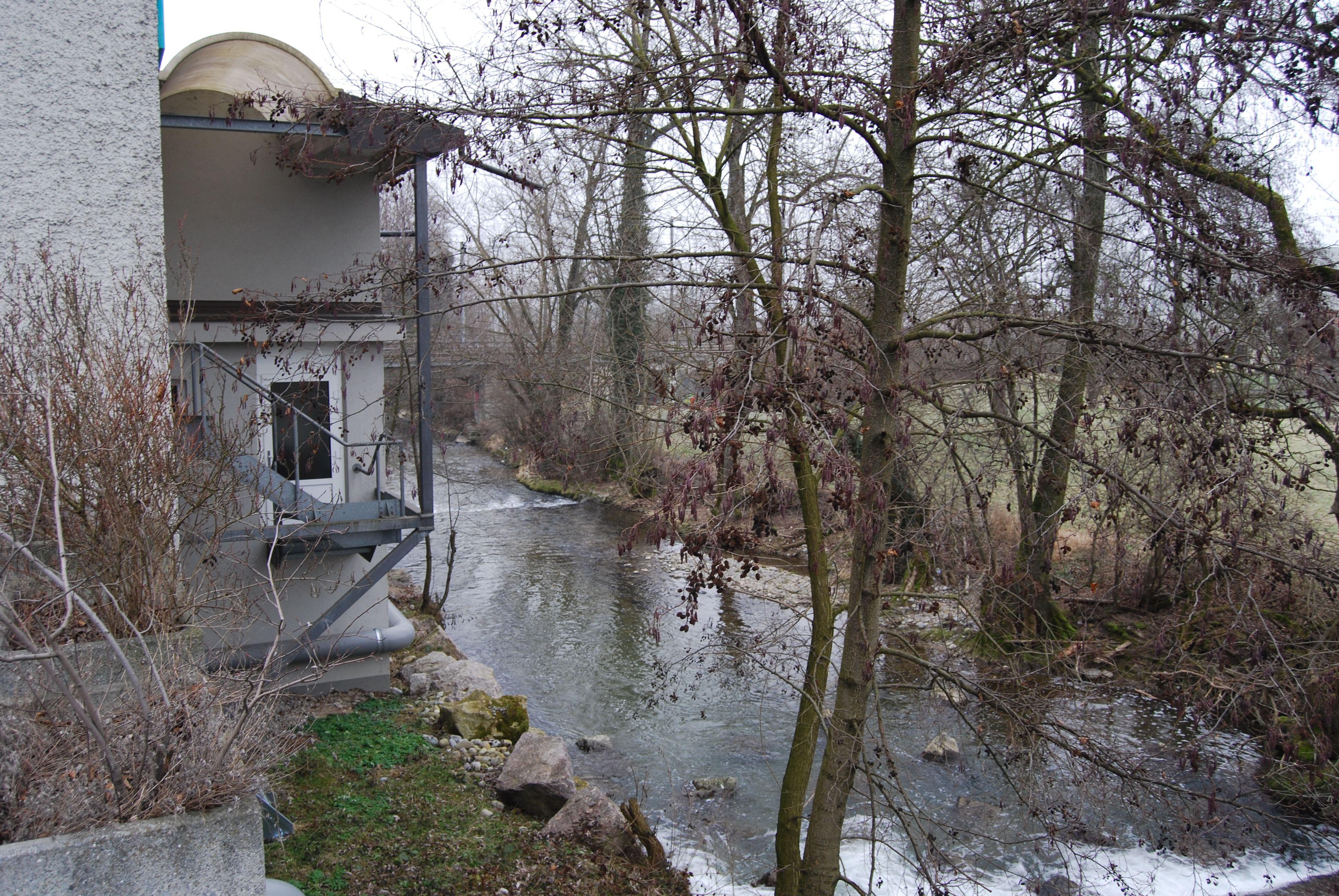 Suhr photo 3