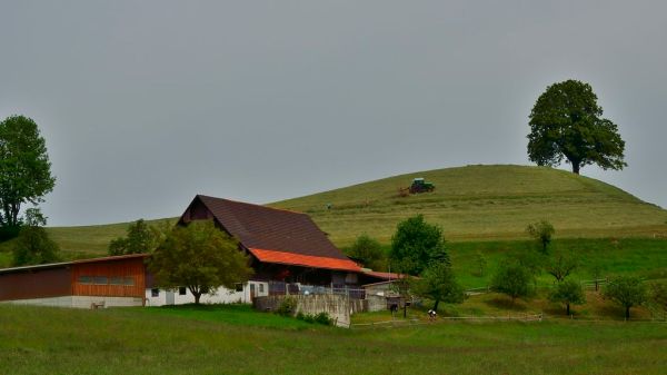Unterägeri photo 3