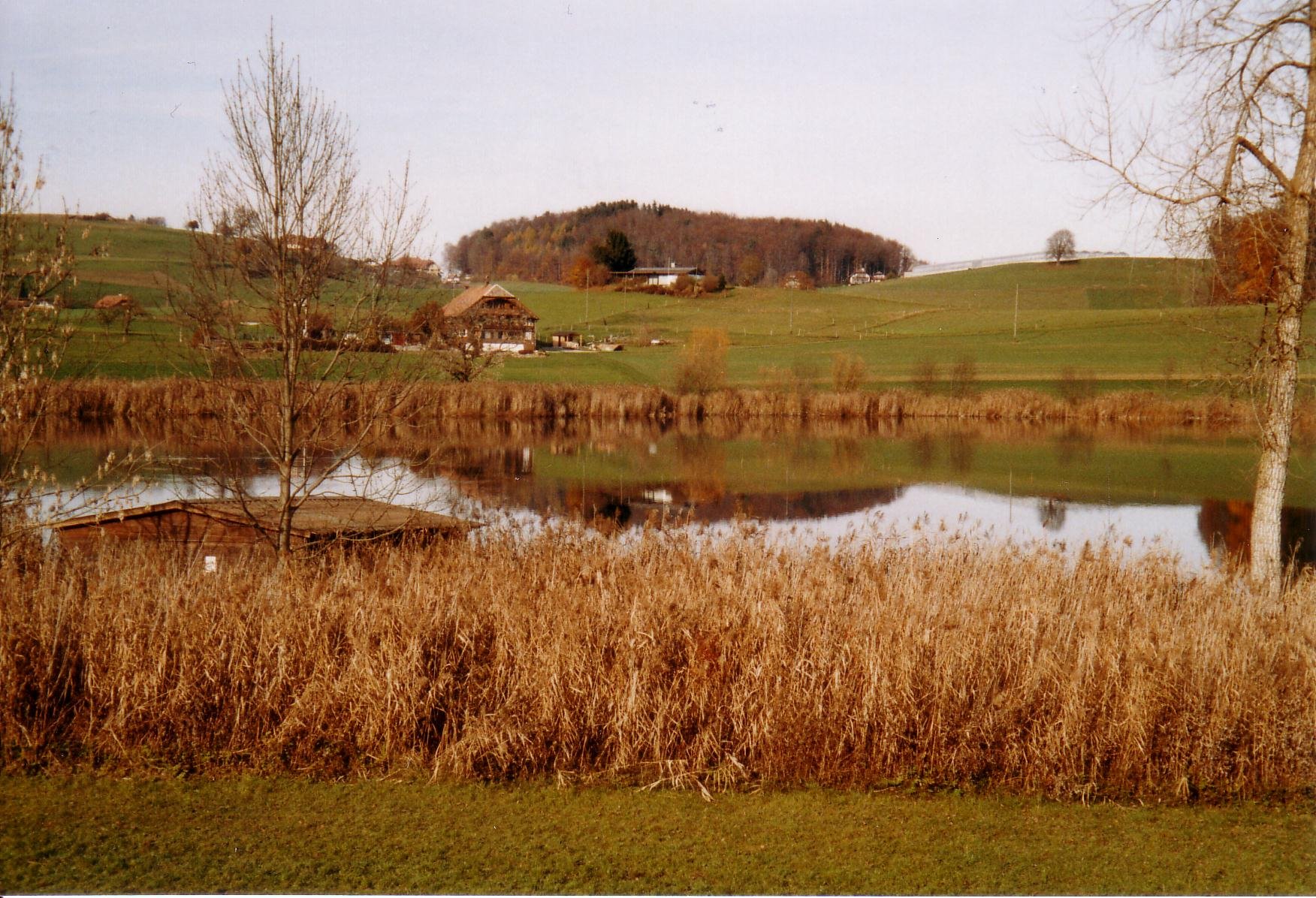 Wattenwil photo 3