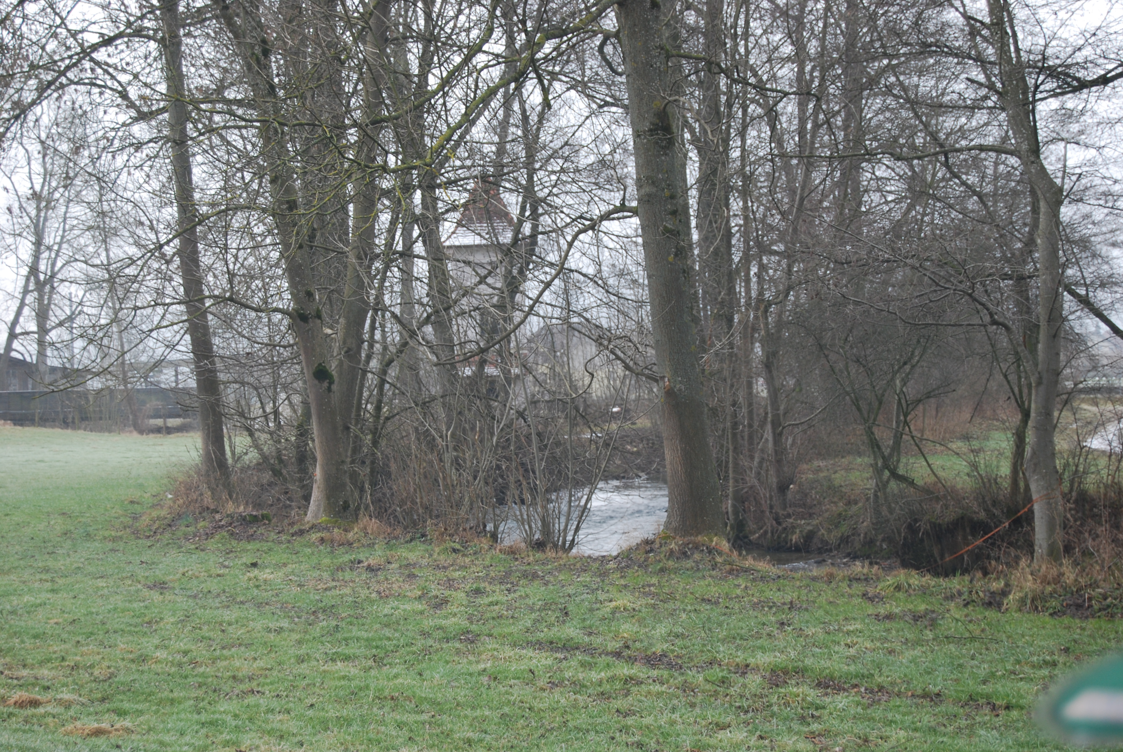 Suhr photo 4