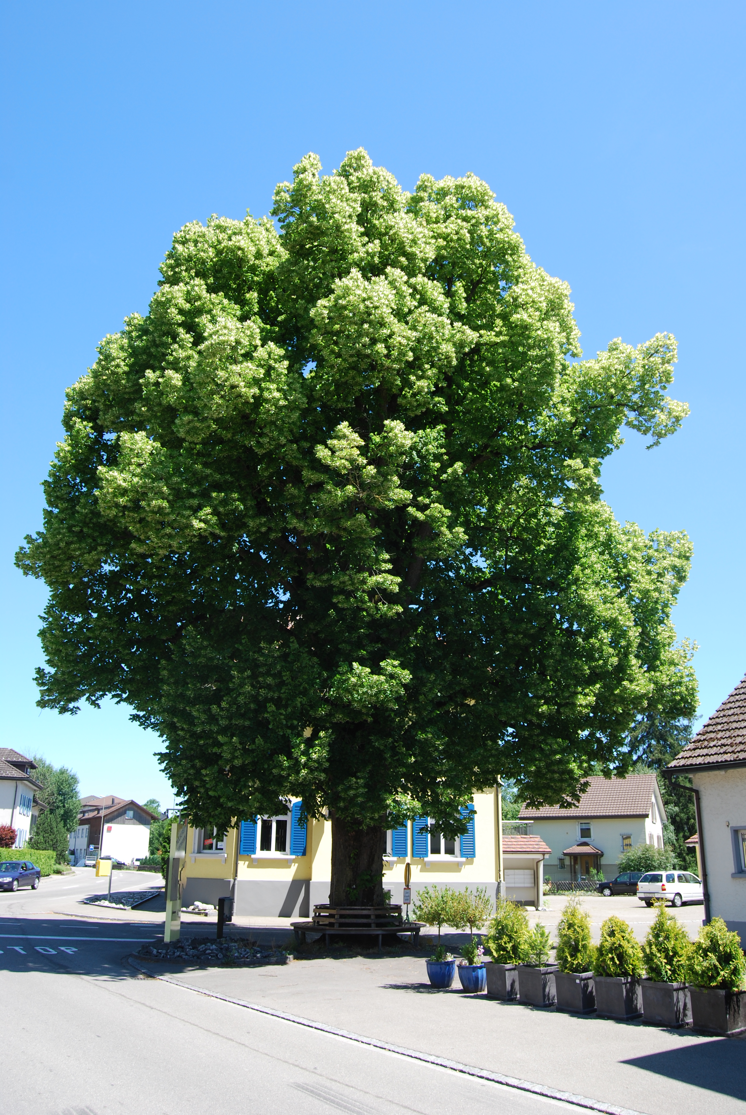 Sirnach, Thurgau