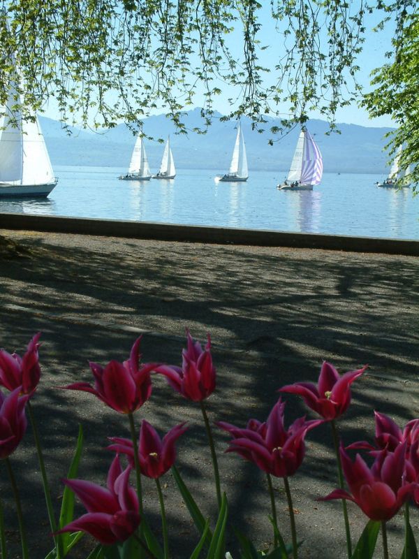 Saint-Prex, Vaud