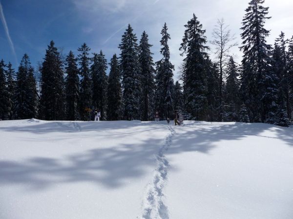Mont Tendre, Vaud