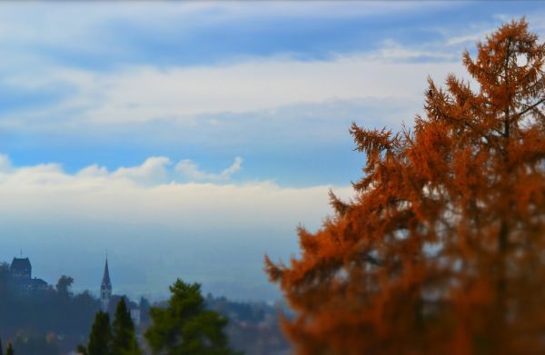 Uster, Zurich