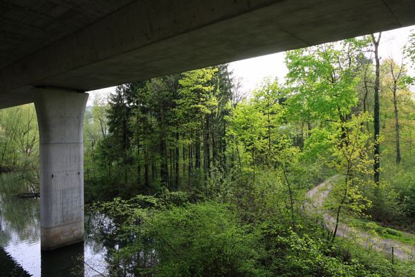 Unterengstringen, Zurich
