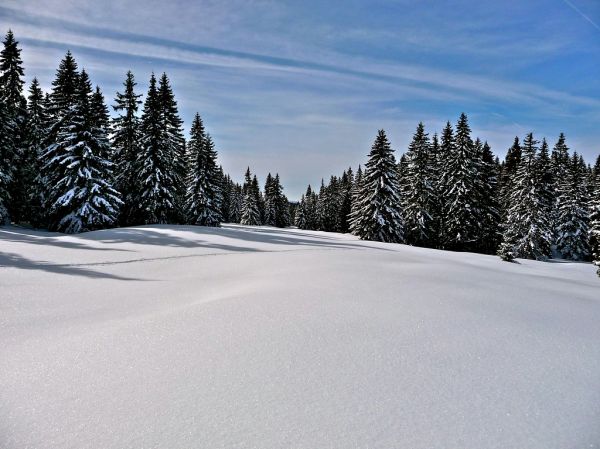 Mont Tendre photo 3