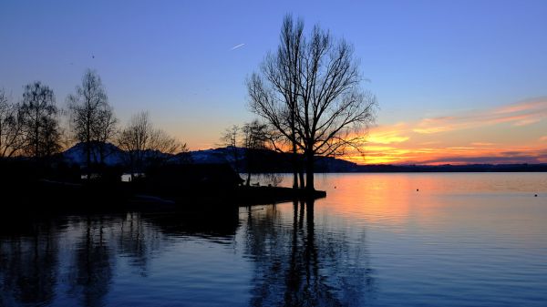 Walchwil photo 3