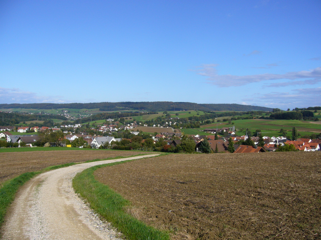 Ehrendingen photo 3