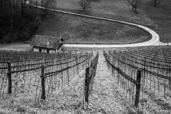 Aesch, Basel-Landschaft