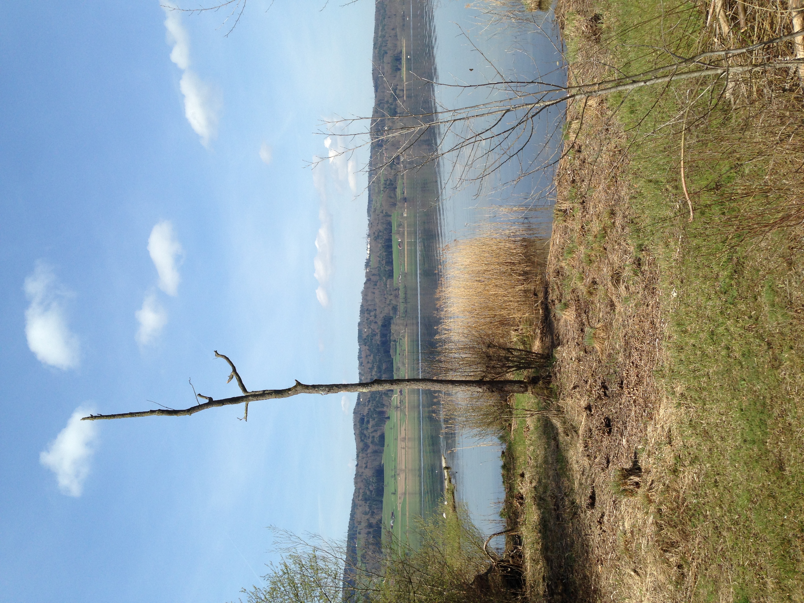 Uster photo 2