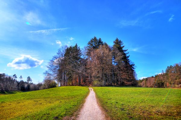 Wetzikon photo 4