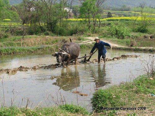 Chaohu, Anhui