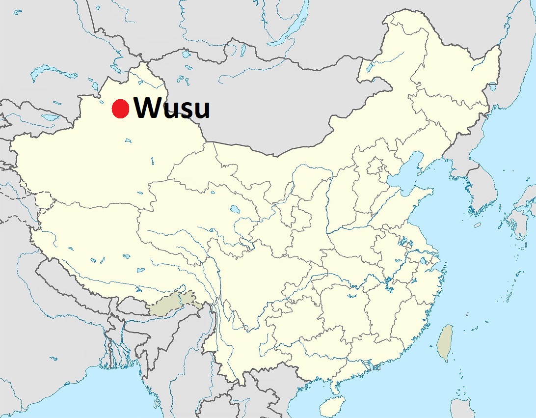 Wusu photo 4