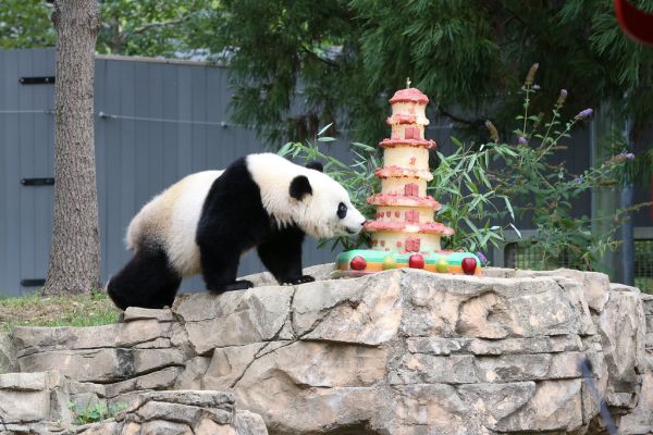 Beibei, Chongqing