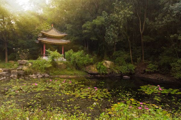 Daliang, Guangdong