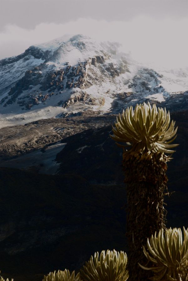 Nevado del Tolima photo 4