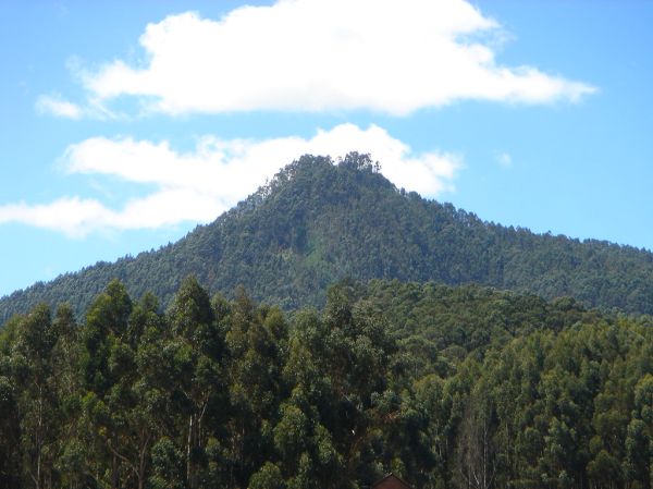 Cerro Viejo photo 4