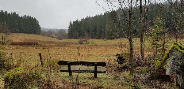 Ziegenberg photo 4