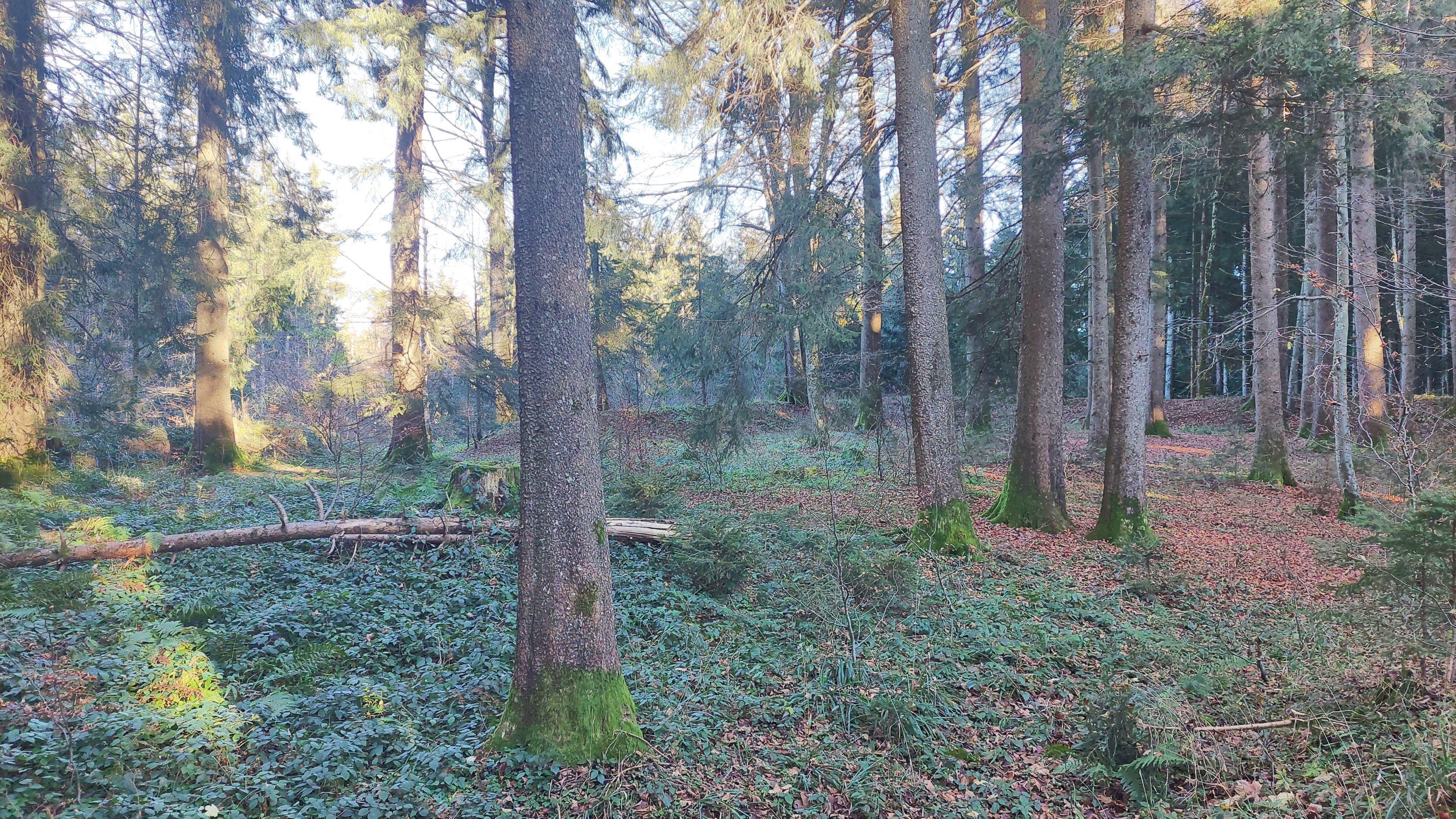 Walkenberg, Bavaria