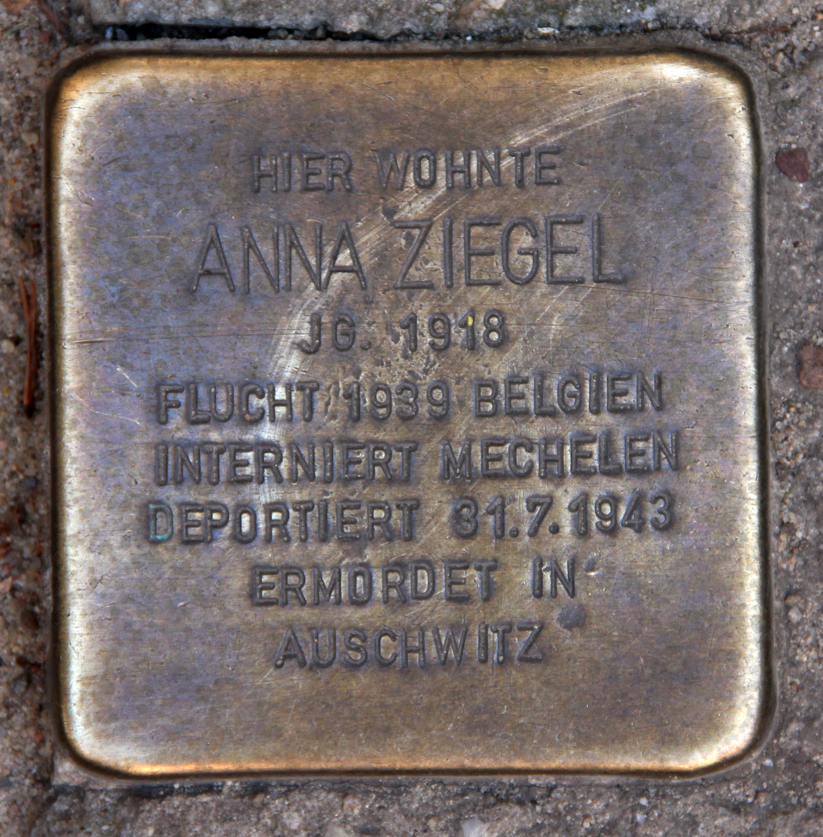 Ziegel-Berg photo 3