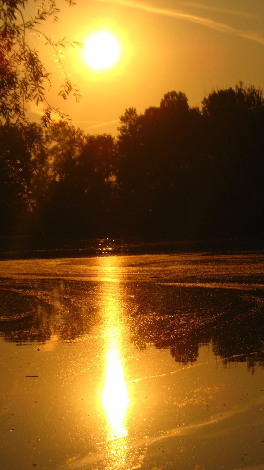 Wörth am Rhein photo 3