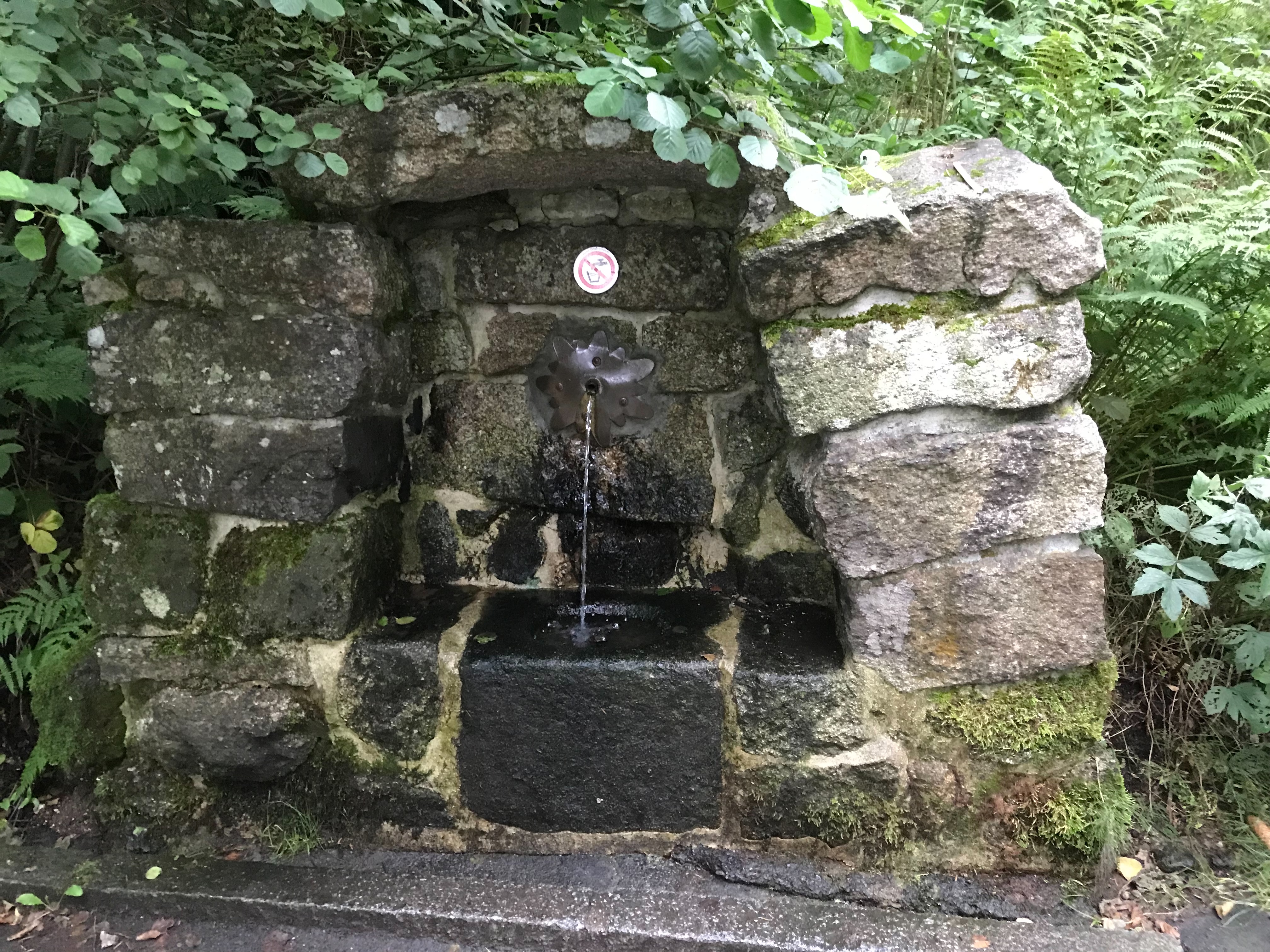 Wunsiedel photo 4