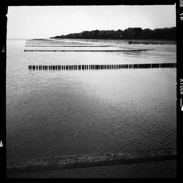 Zingst photo 4