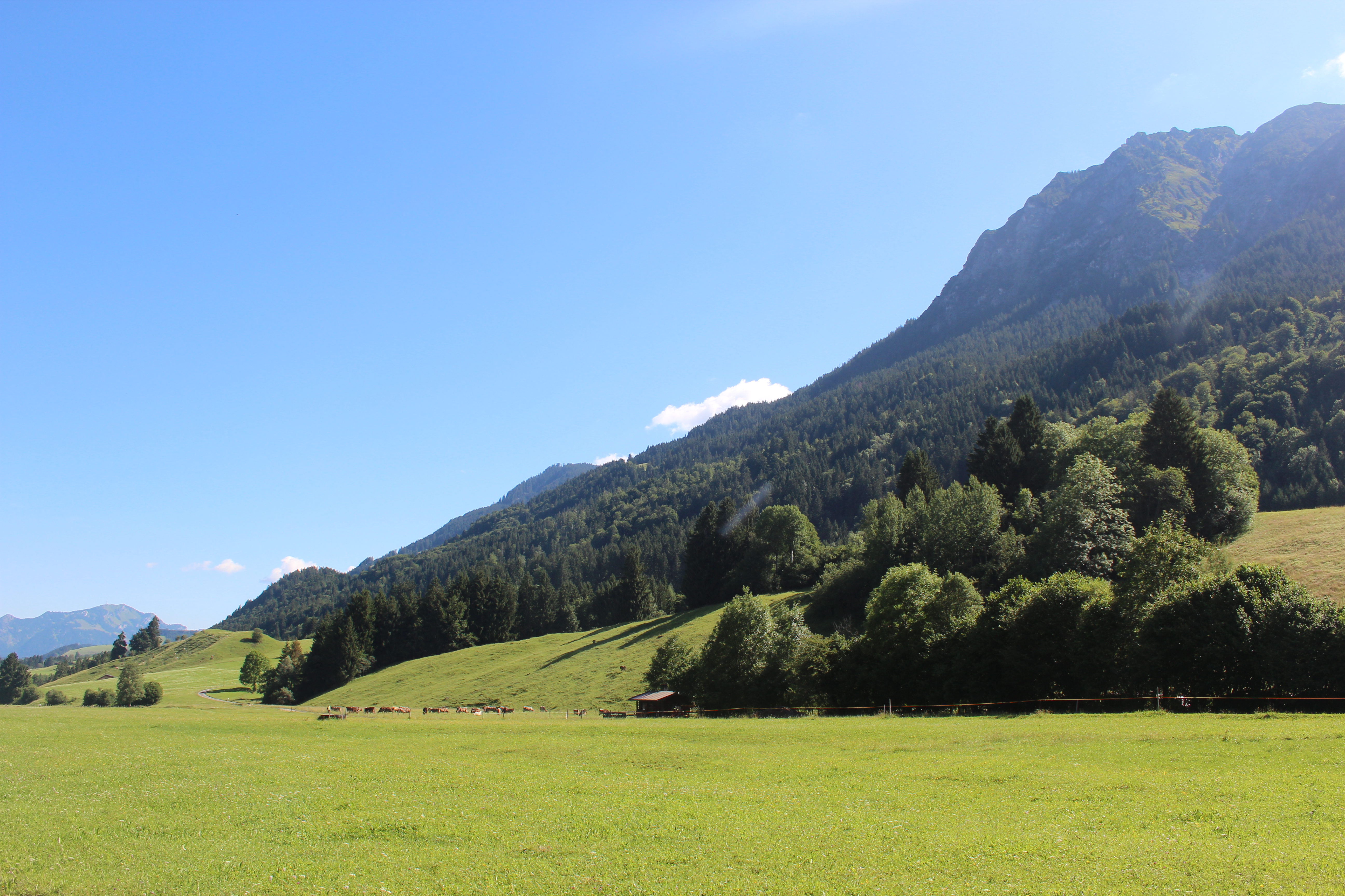 Schnippenkopf, Bavaria