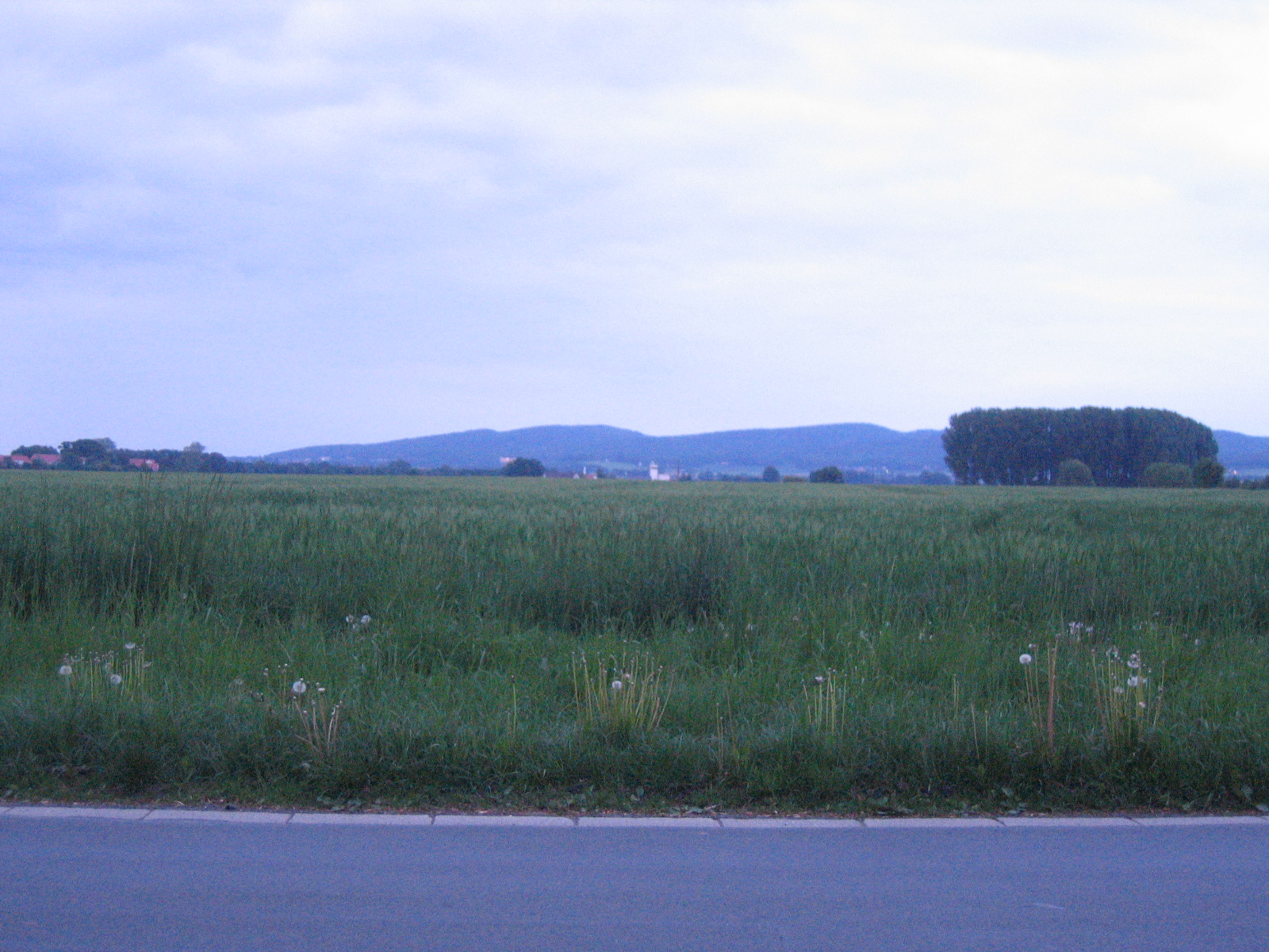 Wurzelbrink, North Rhine-Westphalia