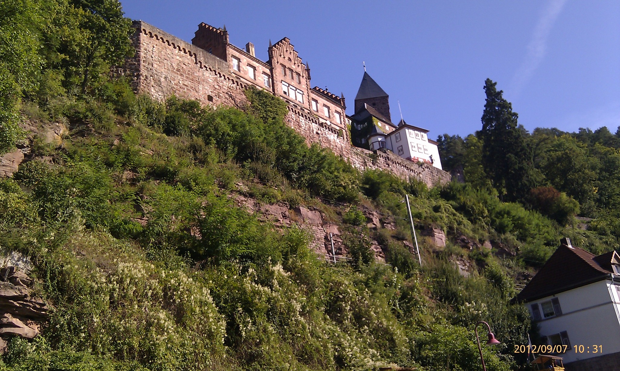 Zwingenberg photo 2