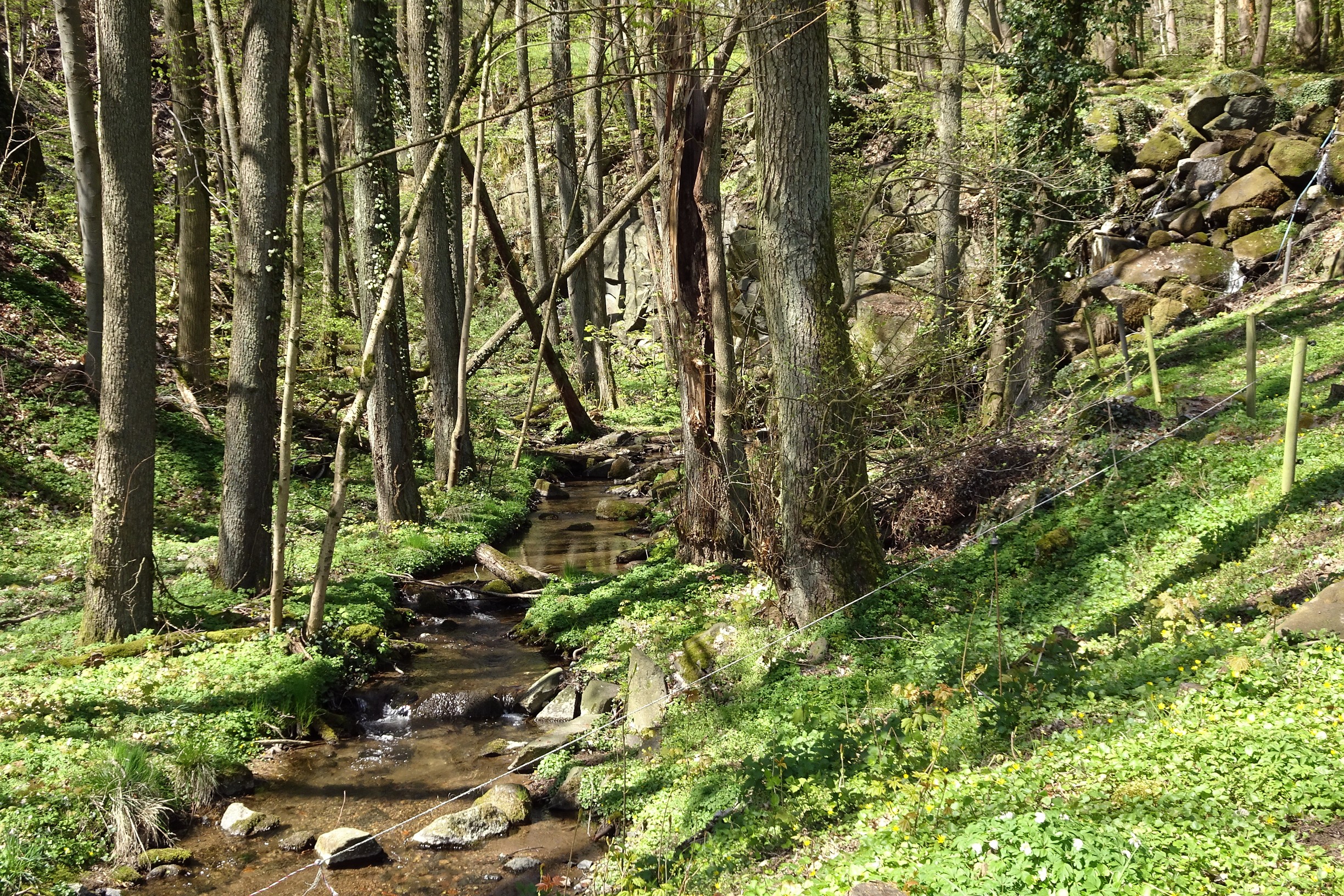 Winterkasten, North Rhine-Westphalia