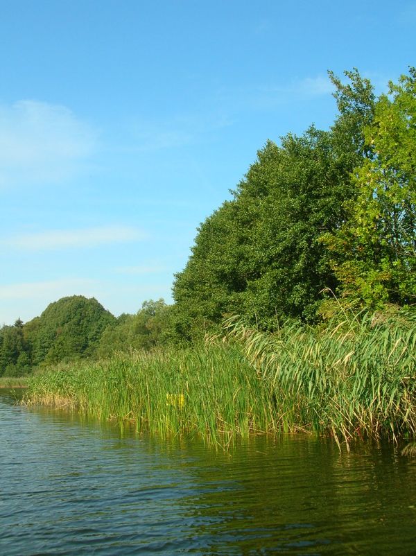 Zarrentin am Schaalsee photo 2