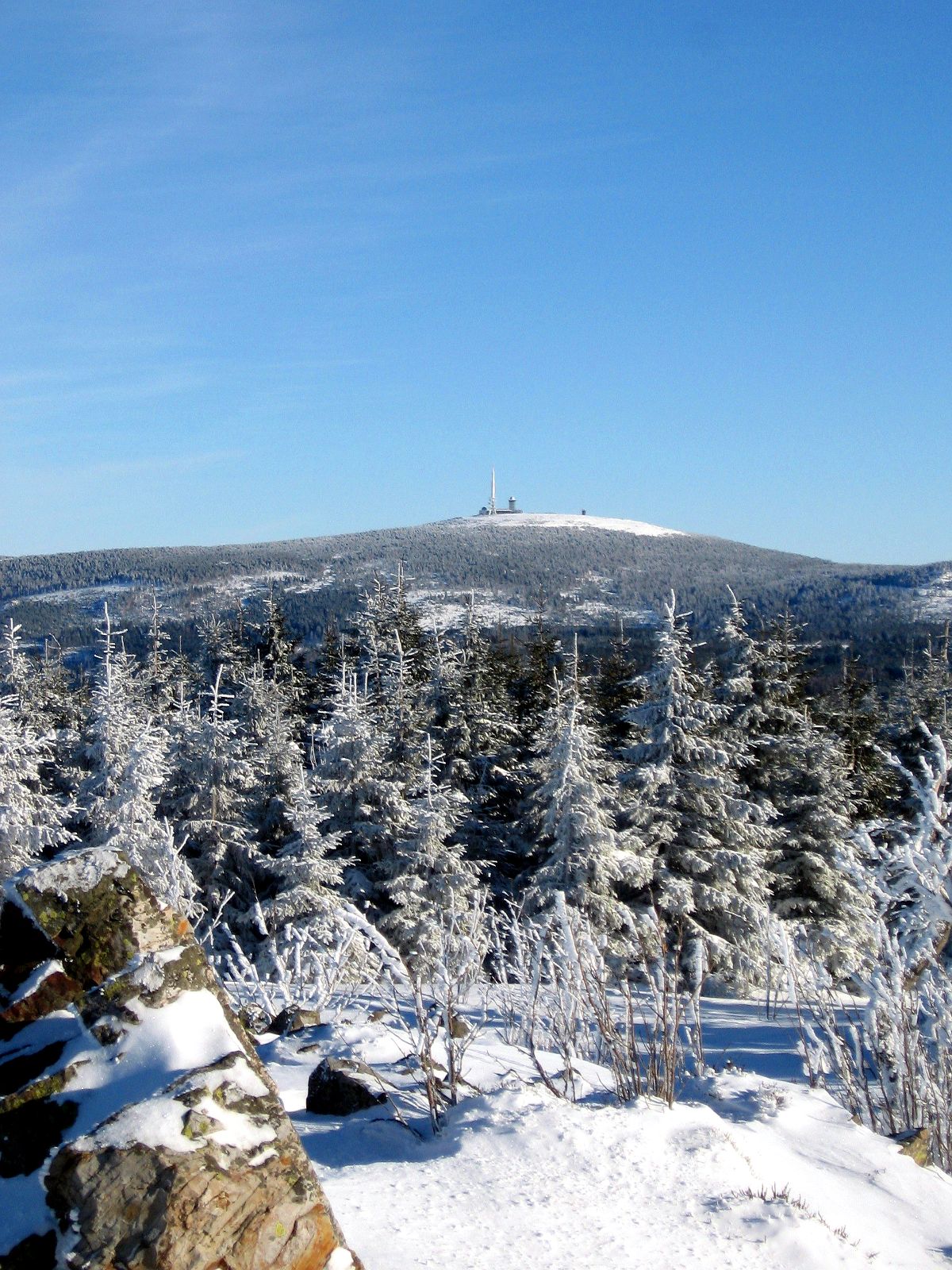 Wolfswarte photo 4