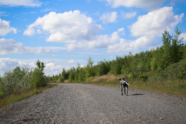 Zwenkau photo 4