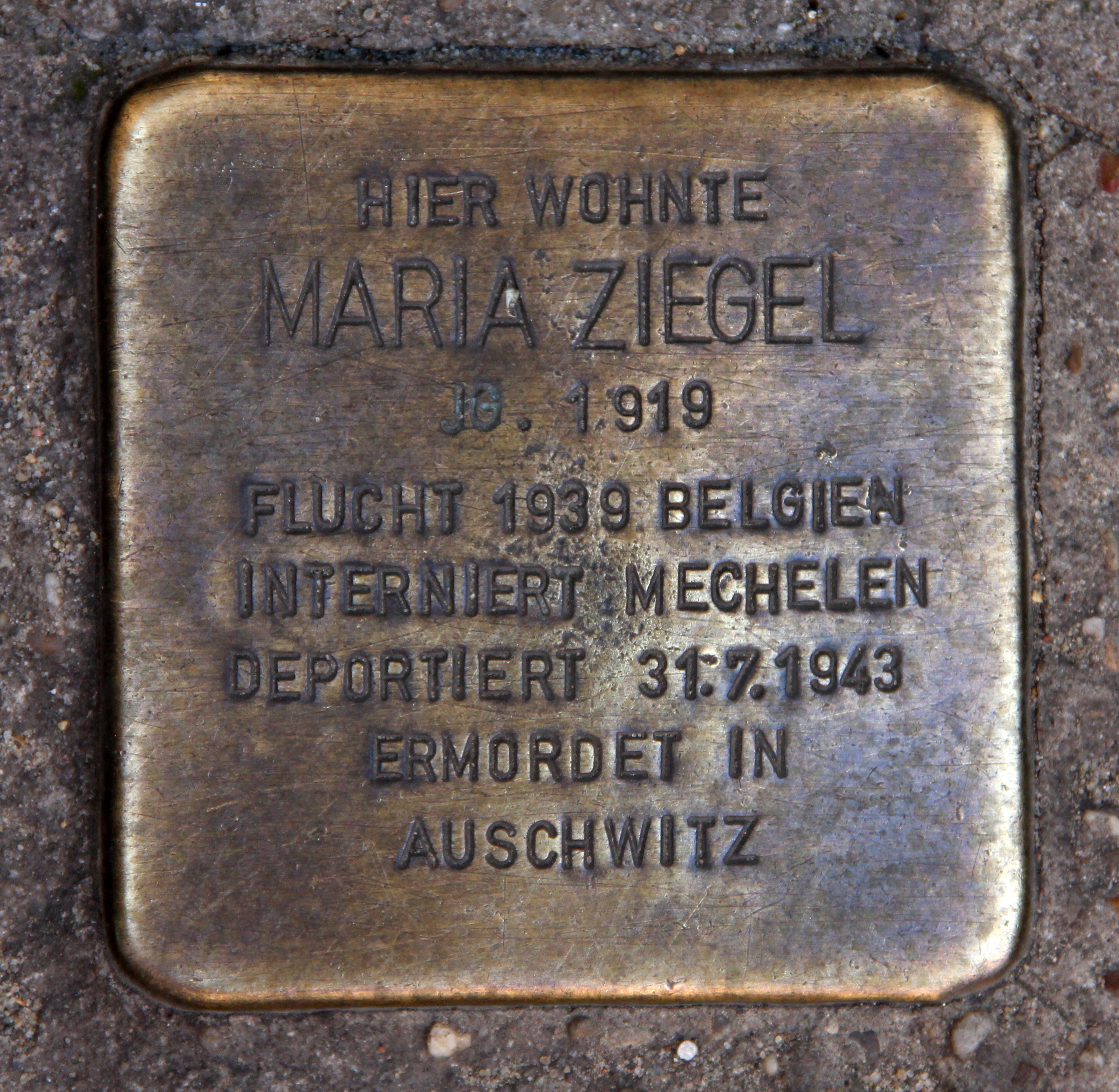 Ziegel-Berg photo 4