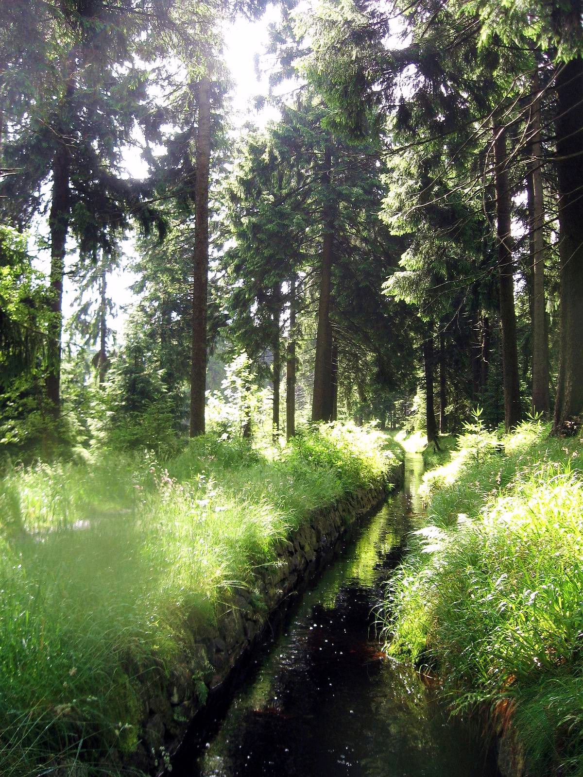 Wolfswarte photo 3
