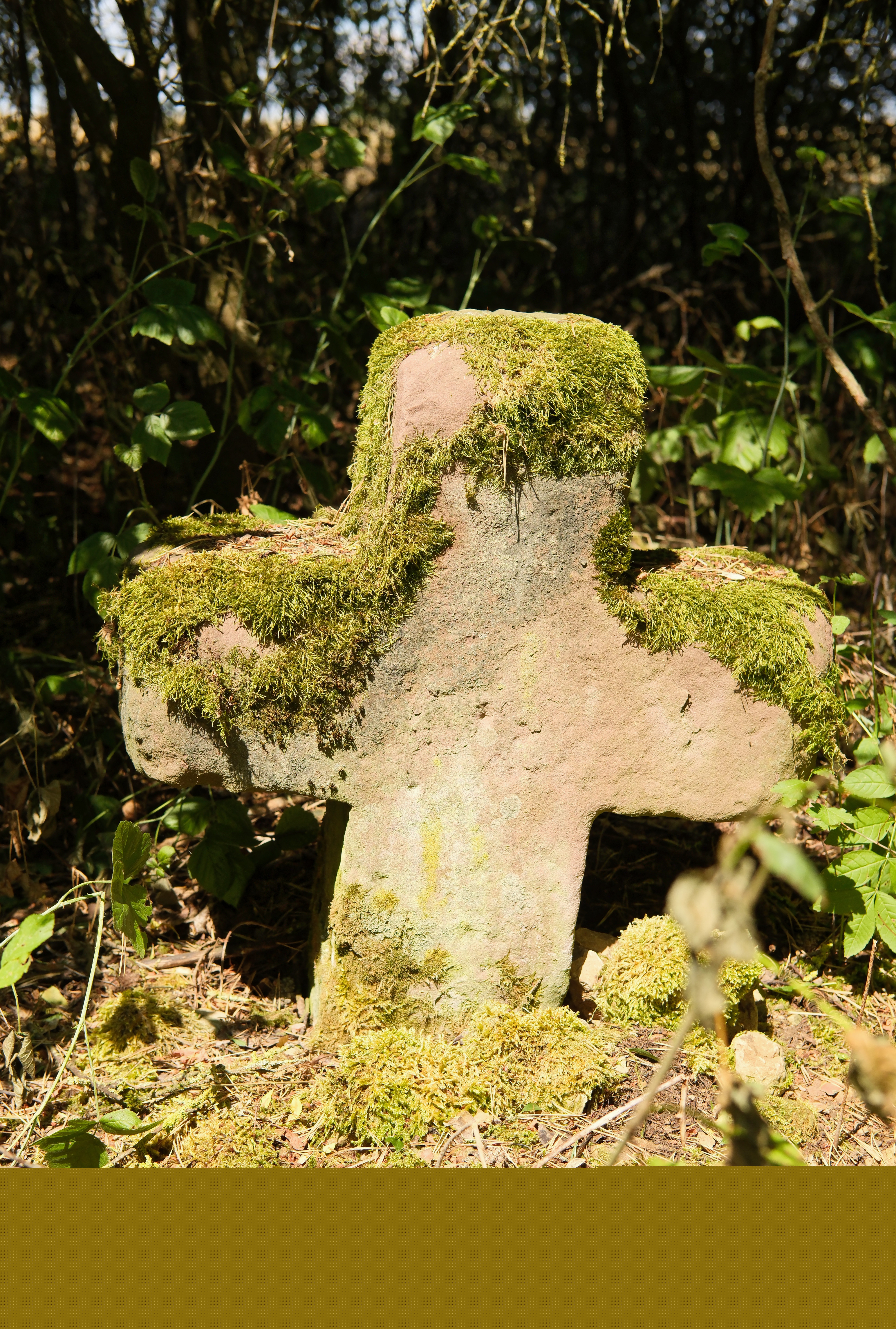 Zimmern ob Rottweil photo 4