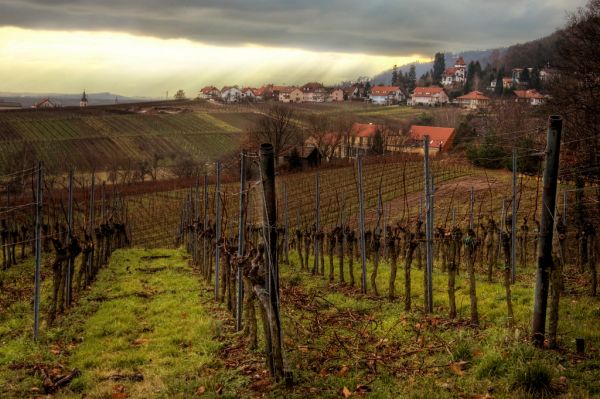 Winzer, Bavaria