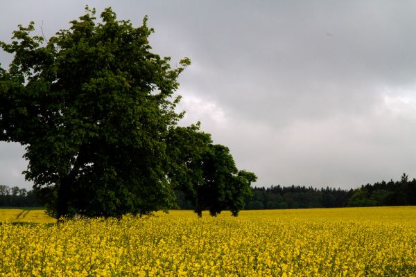 Wurmberg photo 4