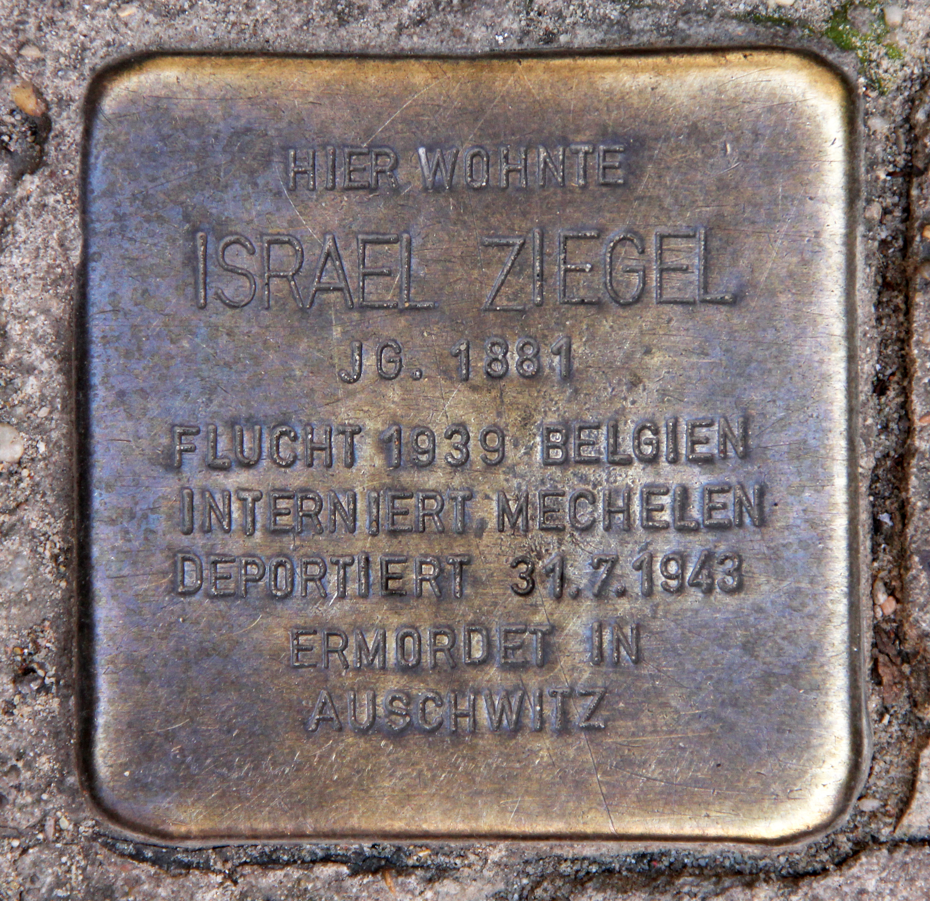Ziegel-Berg photo 2