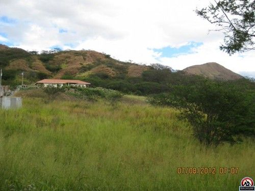 Loja photo 3