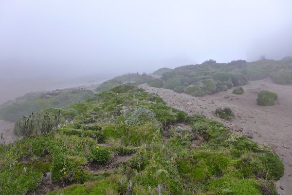 Rucu Pichincha photo 4