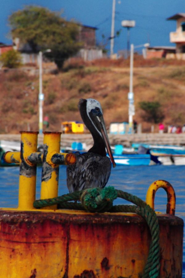 Posorja, Guayas